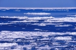 氷海.jpg