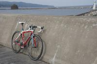 asuca IZAR Campagnolo Veloce ver. 完成車